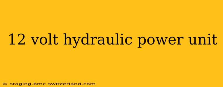 12 volt hydraulic power unit