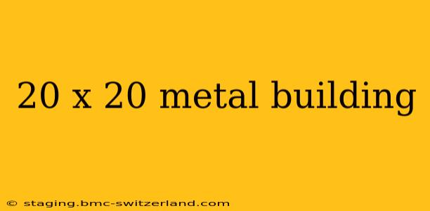 20 x 20 metal building