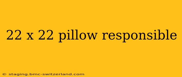 22 x 22 pillow responsible