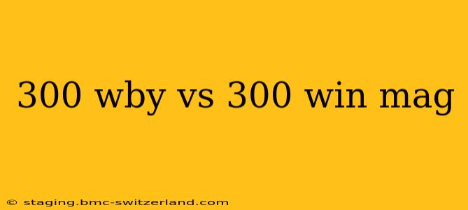 300 wby vs 300 win mag