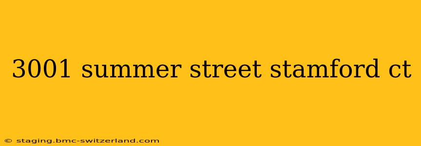 3001 summer street stamford ct