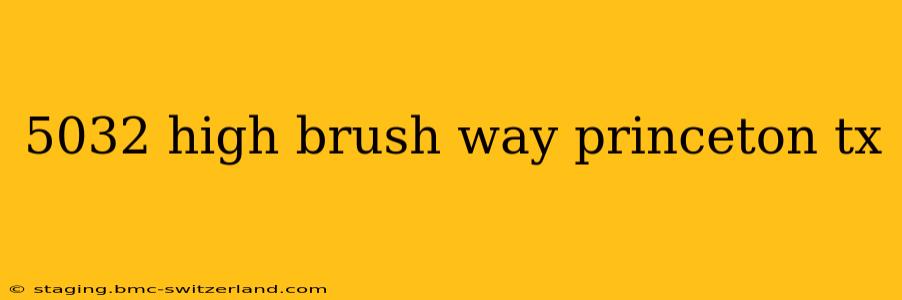 5032 high brush way princeton tx