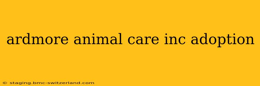 ardmore animal care inc adoption
