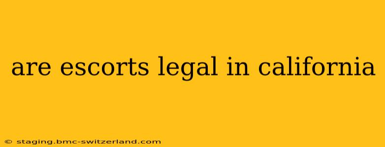 are escorts legal in california