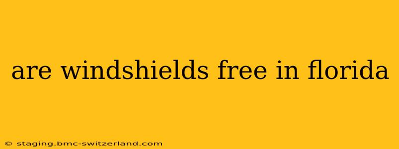 are windshields free in florida