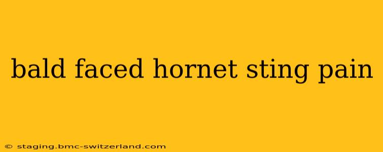 bald faced hornet sting pain