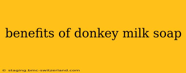 benefits of donkey milk soap