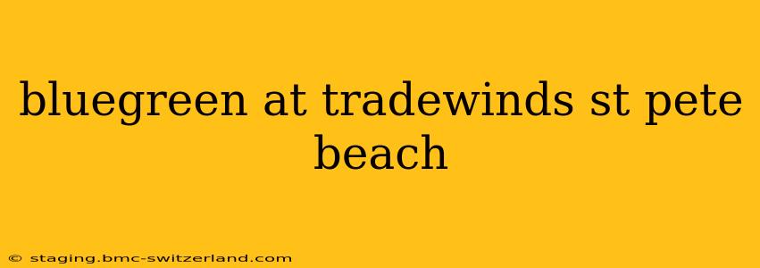bluegreen at tradewinds st pete beach
