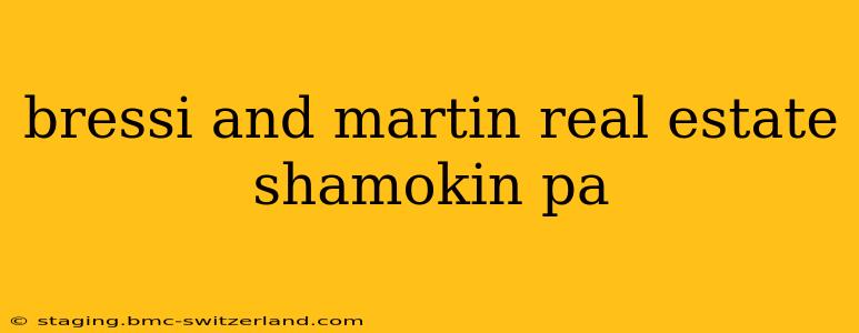 bressi and martin real estate shamokin pa