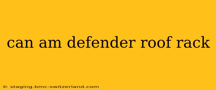 can am defender roof rack
