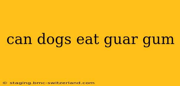 can dogs eat guar gum