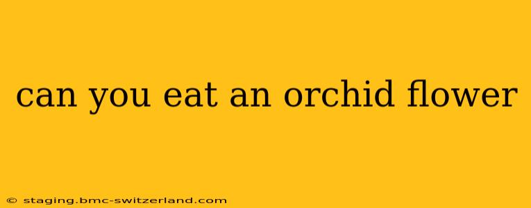 can you eat an orchid flower