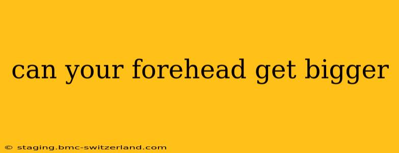 can your forehead get bigger