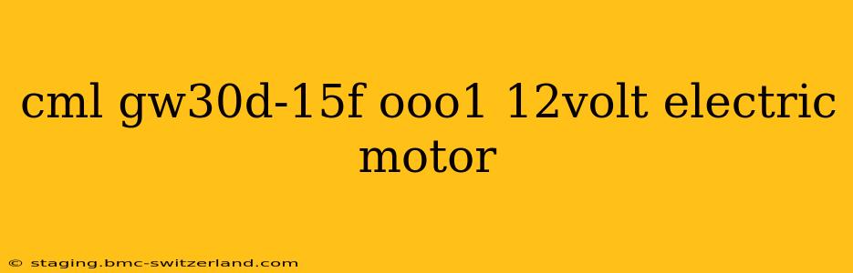 cml gw30d-15f ooo1 12volt electric motor