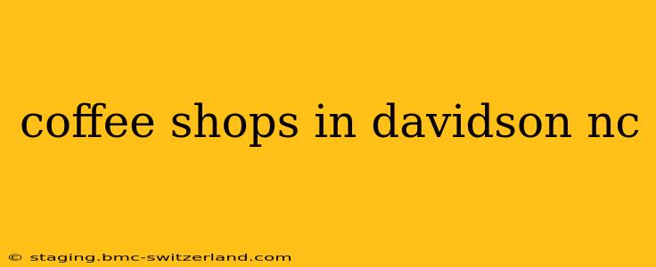 coffee shops in davidson nc