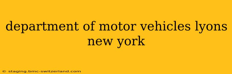 department of motor vehicles lyons new york