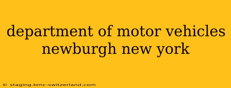 department of motor vehicles newburgh new york