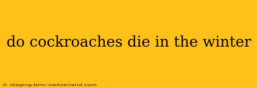 do cockroaches die in the winter
