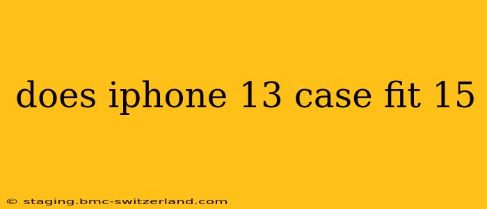 does iphone 13 case fit 15