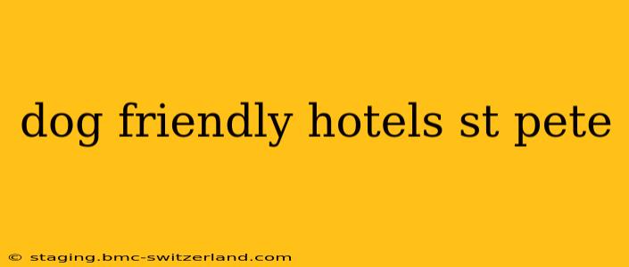 dog friendly hotels st pete