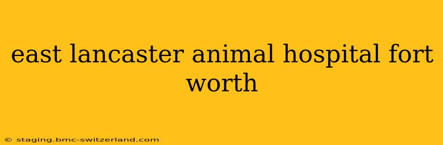 east lancaster animal hospital fort worth