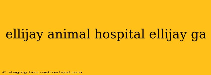 ellijay animal hospital ellijay ga