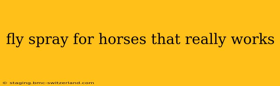 fly spray for horses that really works