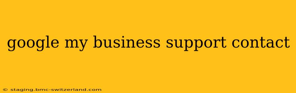 google my business support contact