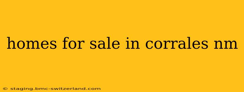 homes for sale in corrales nm