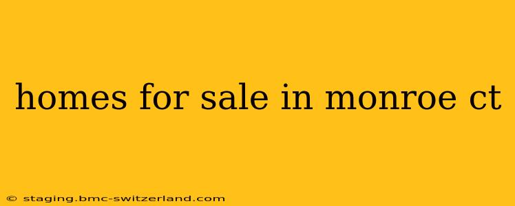 homes for sale in monroe ct