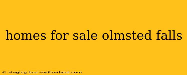 homes for sale olmsted falls