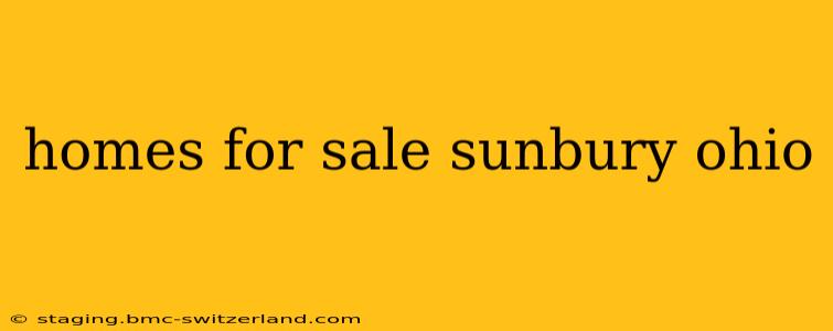 homes for sale sunbury ohio