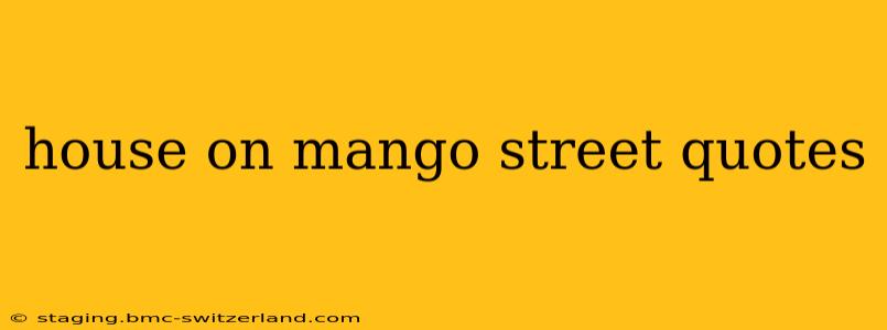 house on mango street quotes