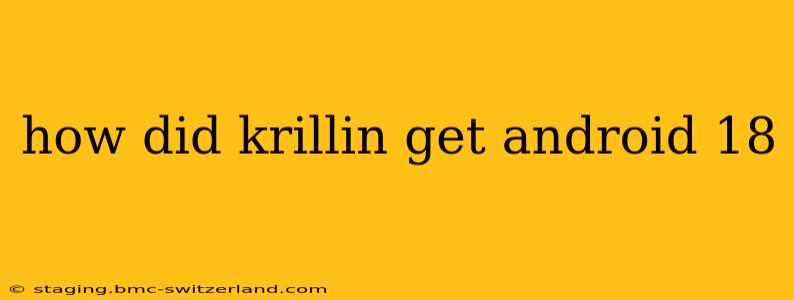 how did krillin get android 18