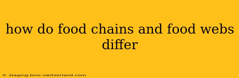 how do food chains and food webs differ