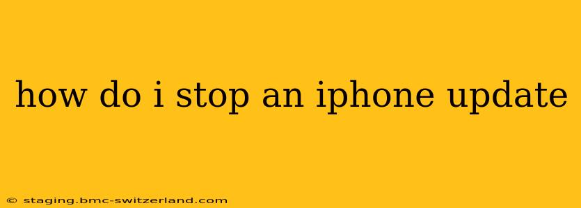 how do i stop an iphone update