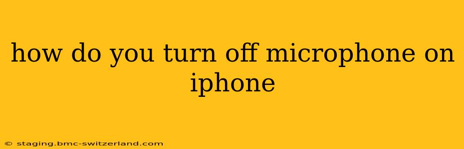 how do you turn off microphone on iphone