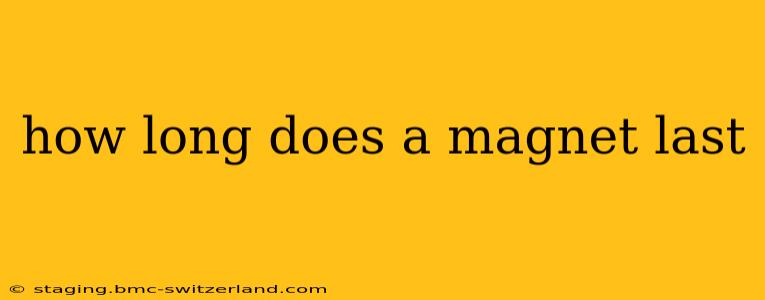 how long does a magnet last