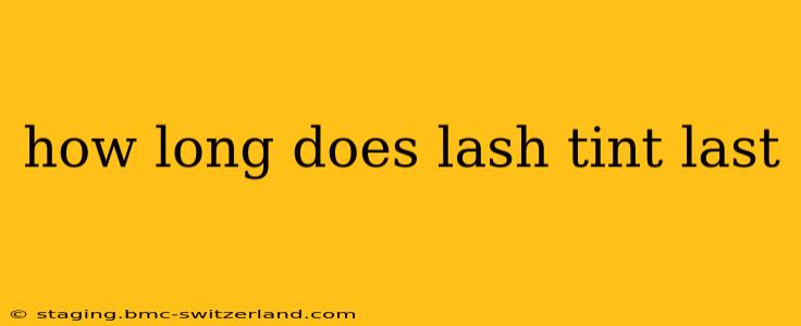 how long does lash tint last