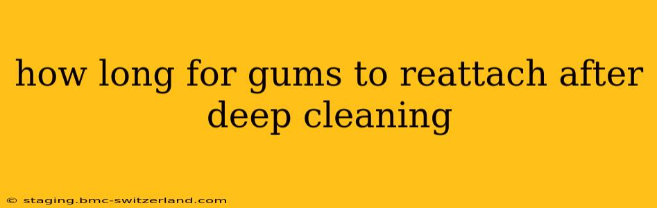 how long for gums to reattach after deep cleaning