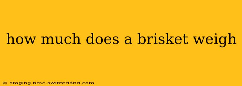 how much does a brisket weigh