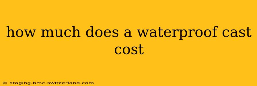 how much does a waterproof cast cost