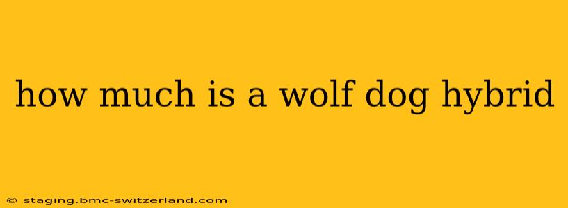 how much is a wolf dog hybrid