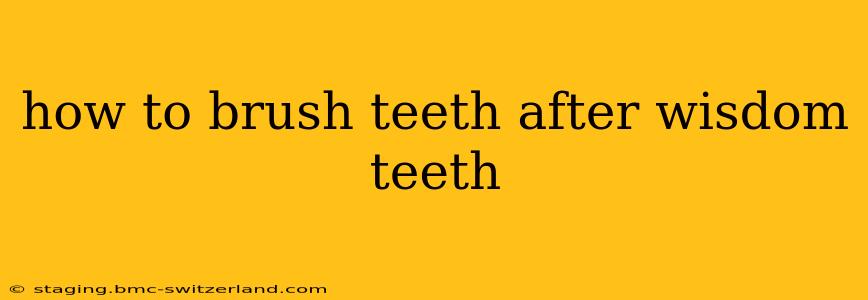 how to brush teeth after wisdom teeth