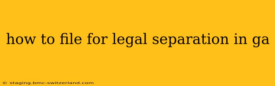 how to file for legal separation in ga
