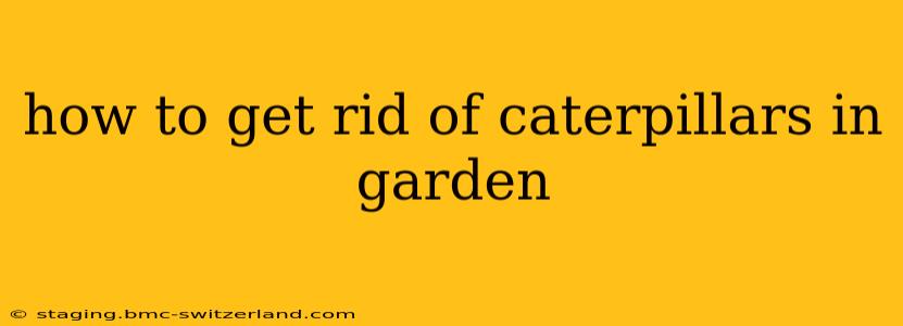 how to get rid of caterpillars in garden