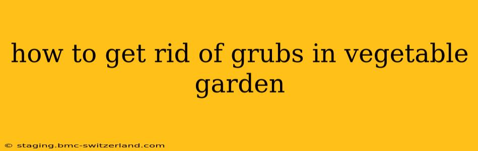how to get rid of grubs in vegetable garden