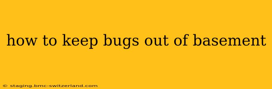 how to keep bugs out of basement