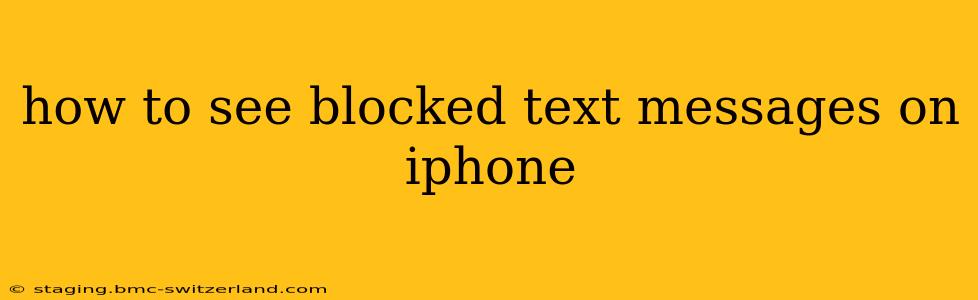 how to see blocked text messages on iphone