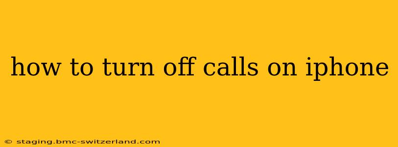 how to turn off calls on iphone